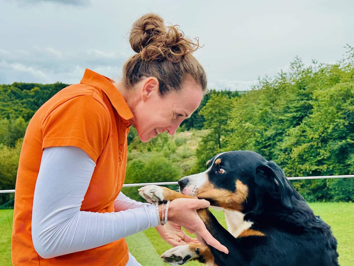 Hunde Physiotherapie und Reha